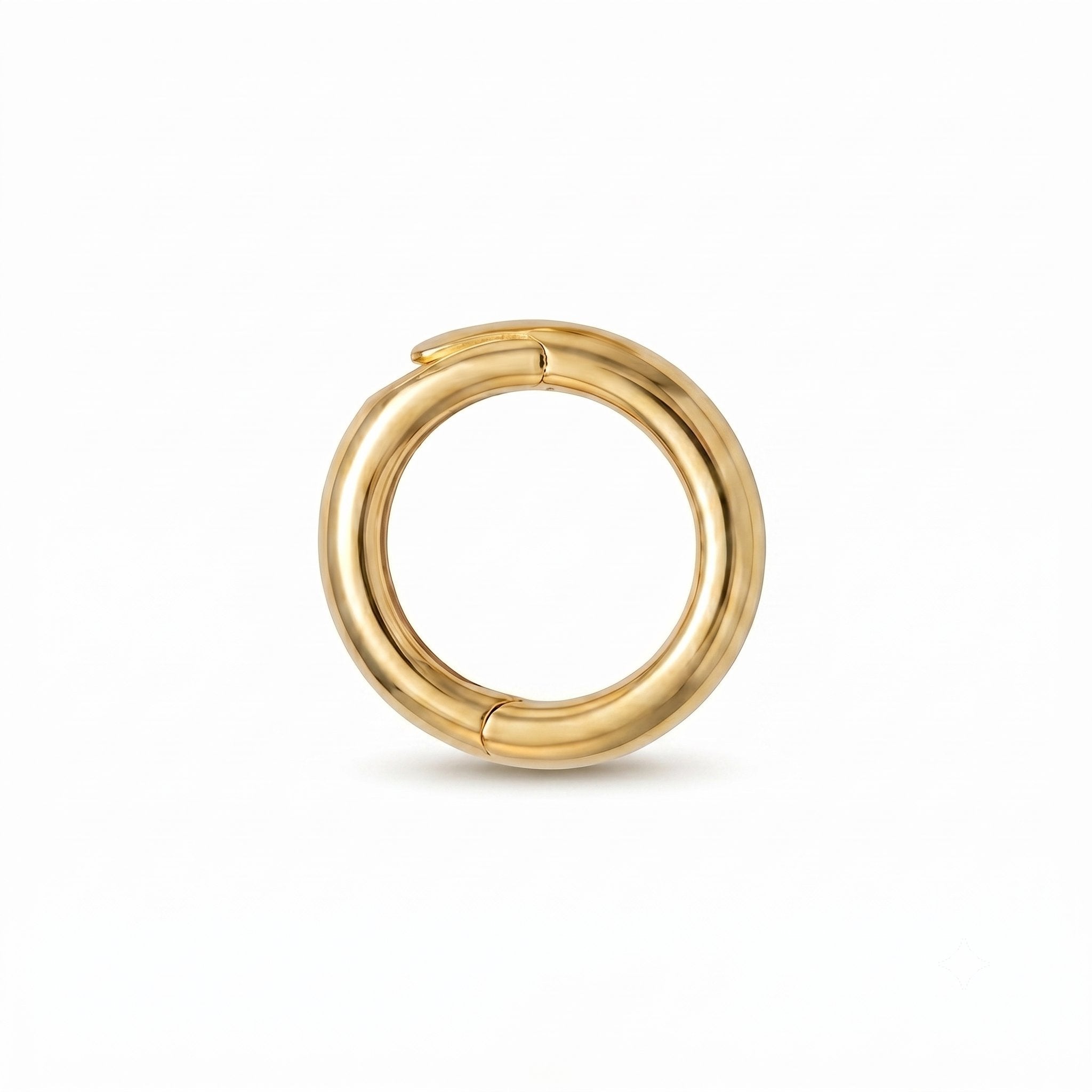 邦楽 ZARD WEZARD Memorial Ring Charm 邦楽 ZARD WEZARD Memorial Ring Charm Damaged item] ZARD Memorial