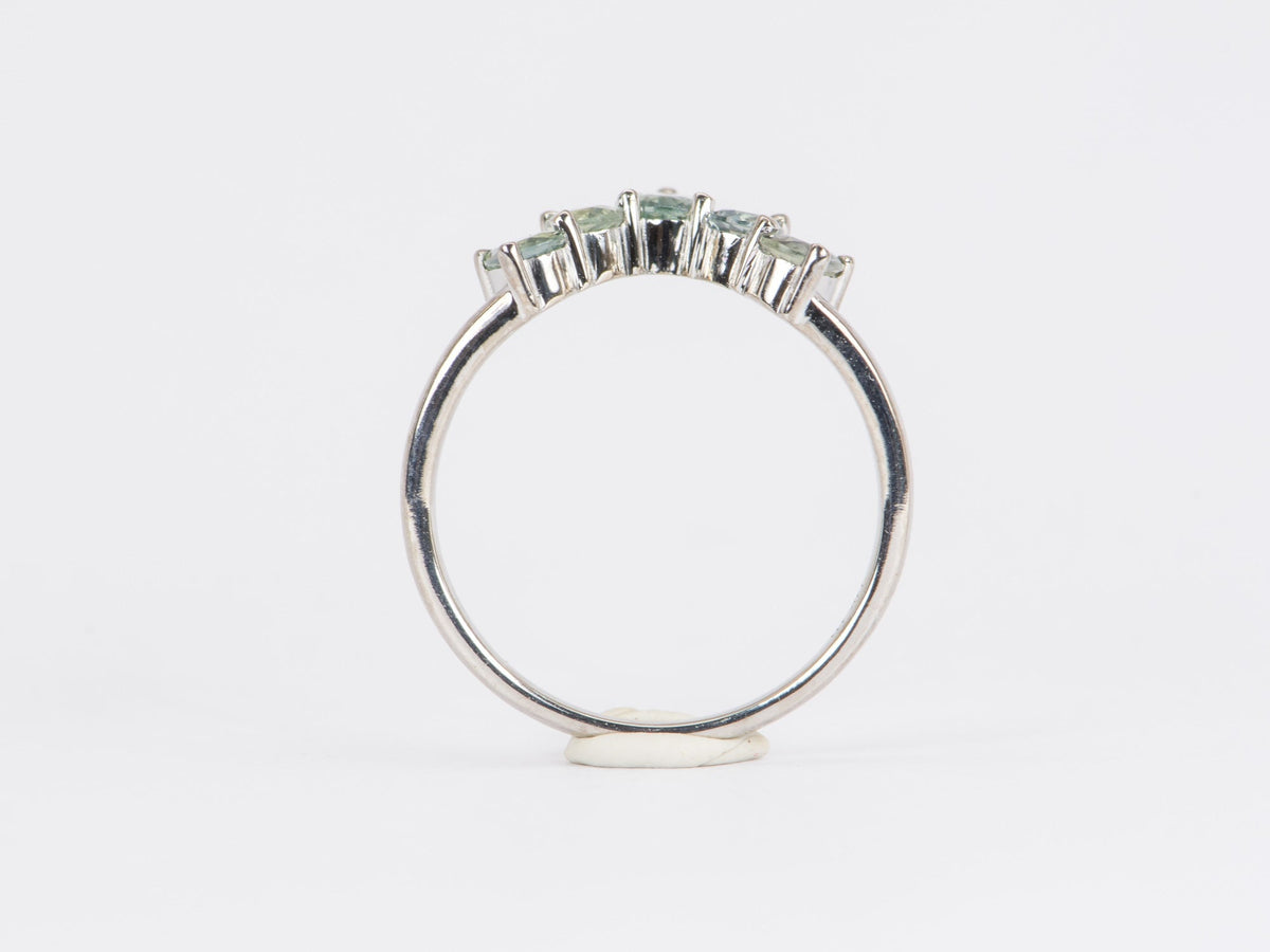Montana Sapphire 14K White Gold Crown Wedding Band R5033 Aurora Designer