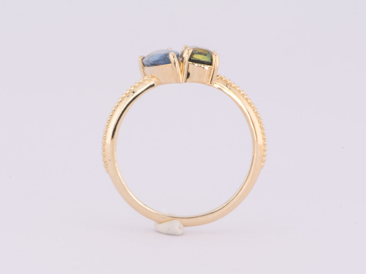 1.57ctw Bi-Color Sapphire and Santa Maria Aquamarine You and Me Ring 14K Gold R6600 Aurora Designer