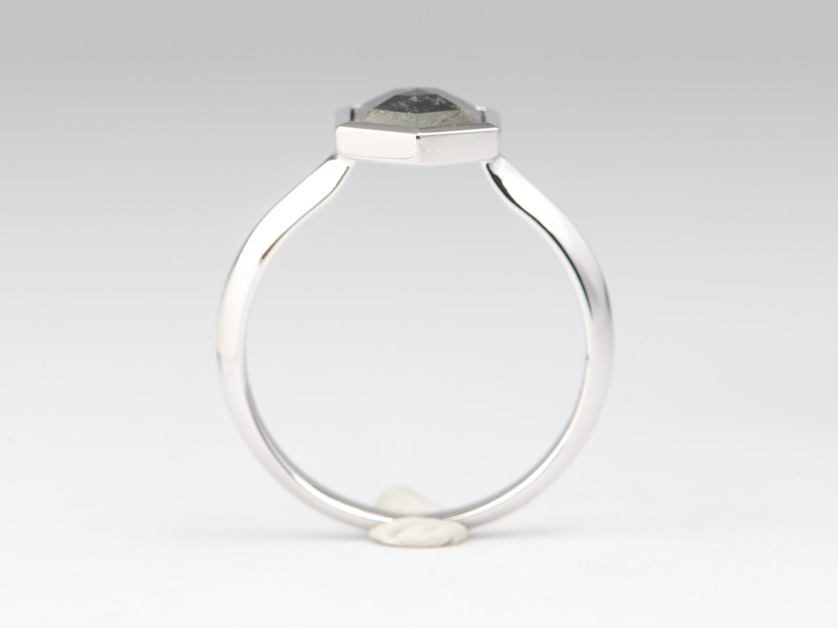 1.66ct Hexagon Shape Salt and Pepper Diamond Bezel Set Engagement Ring 14K White Gold R6686 Aurora Designer