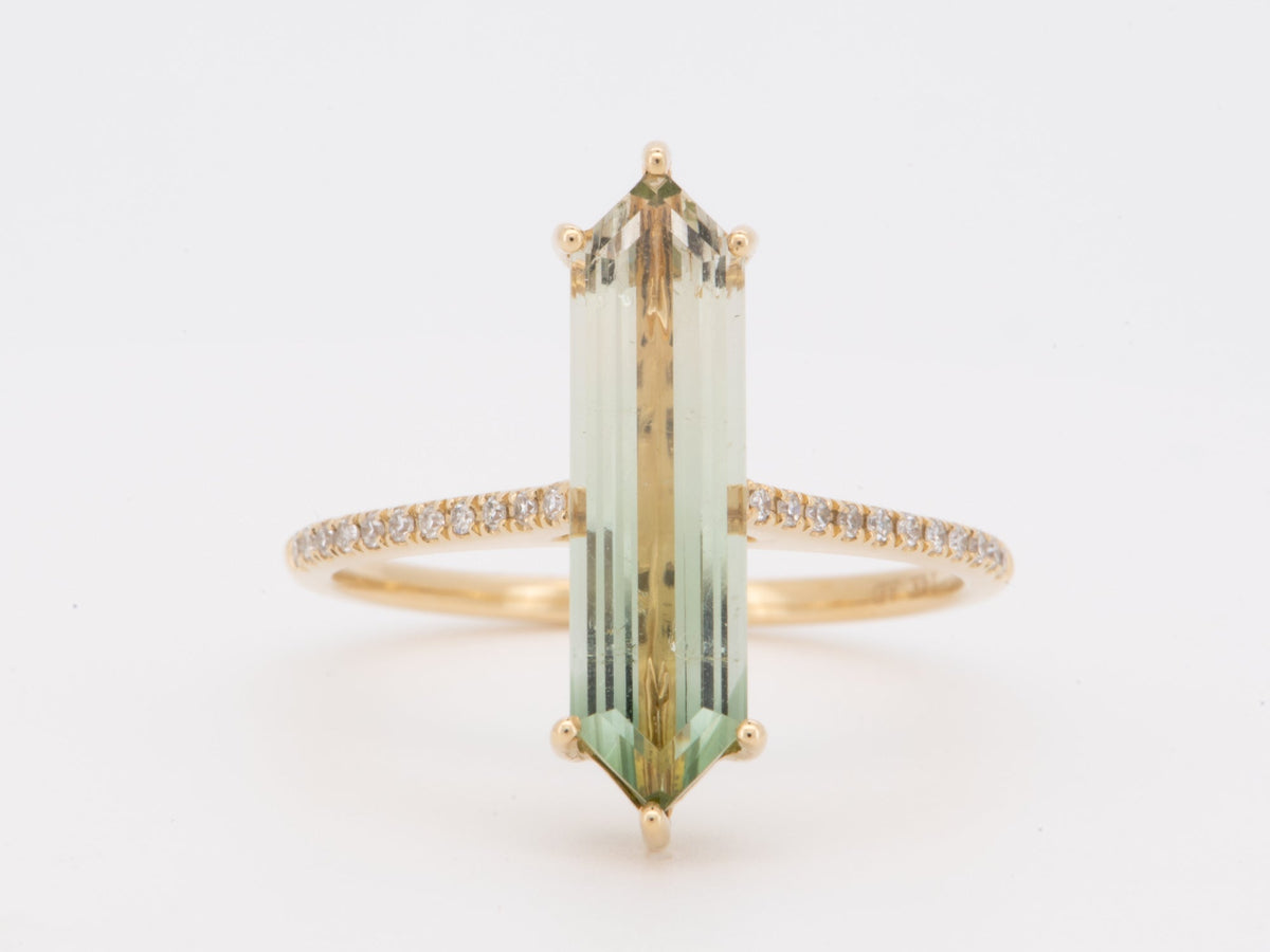 2.9ct Elongated Hexagon Tourmaline 14K Gold Engagement Ring with Diamond Pave Band R6796 Aurora Designer