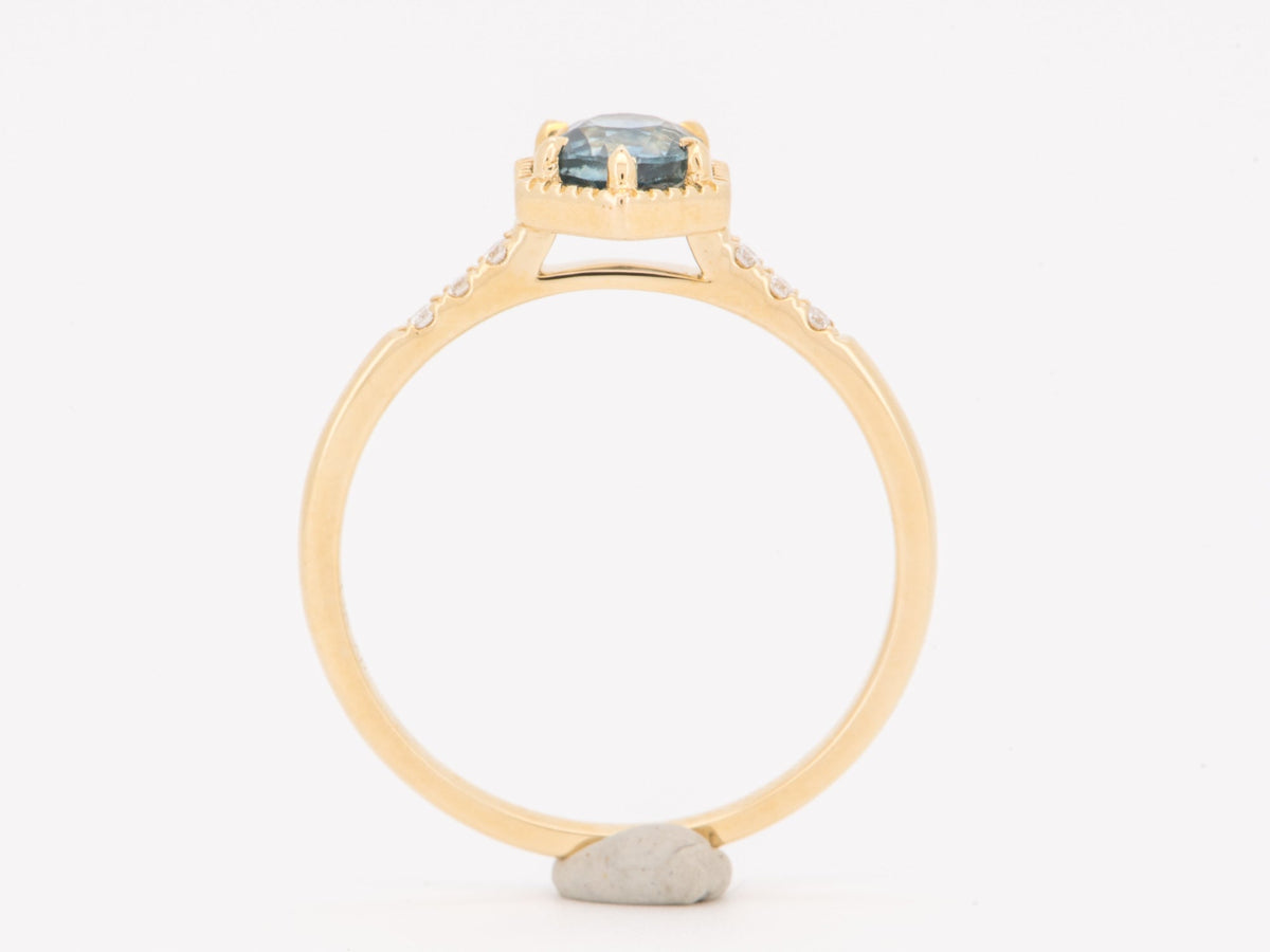 14K Gold Montana Sapphire in Hexagon Setting Engagement Ring with Diamond Pave Band R6843 Aurora Designer