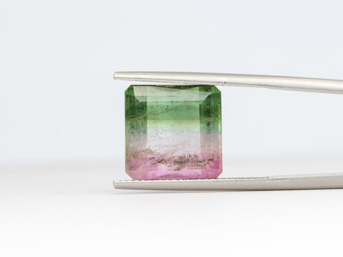 8.95ct Emerald Shape Bi-Color Tourmaline 11.6*11.8*6.8mm TL09 Aurora Designer