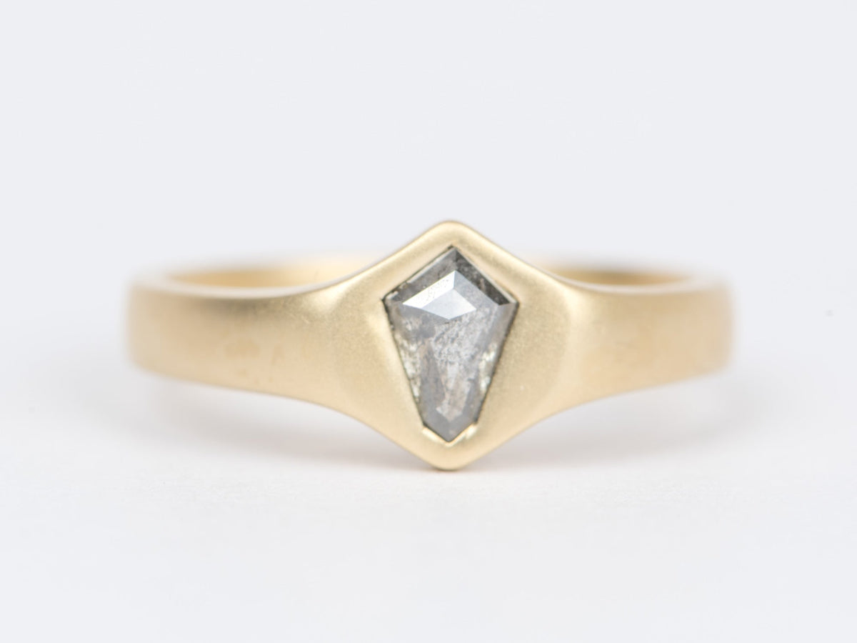 Shield Shape Salt and Pepper Diamond Heavy Signet Ring 14K Gold R6417 Aurora Designer